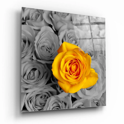 Vibrant yellow rose in glass wall art with monochrome blooms