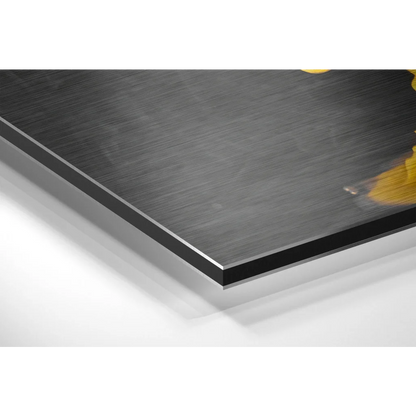 Stunning brushed aluminium dibond art with gold accents