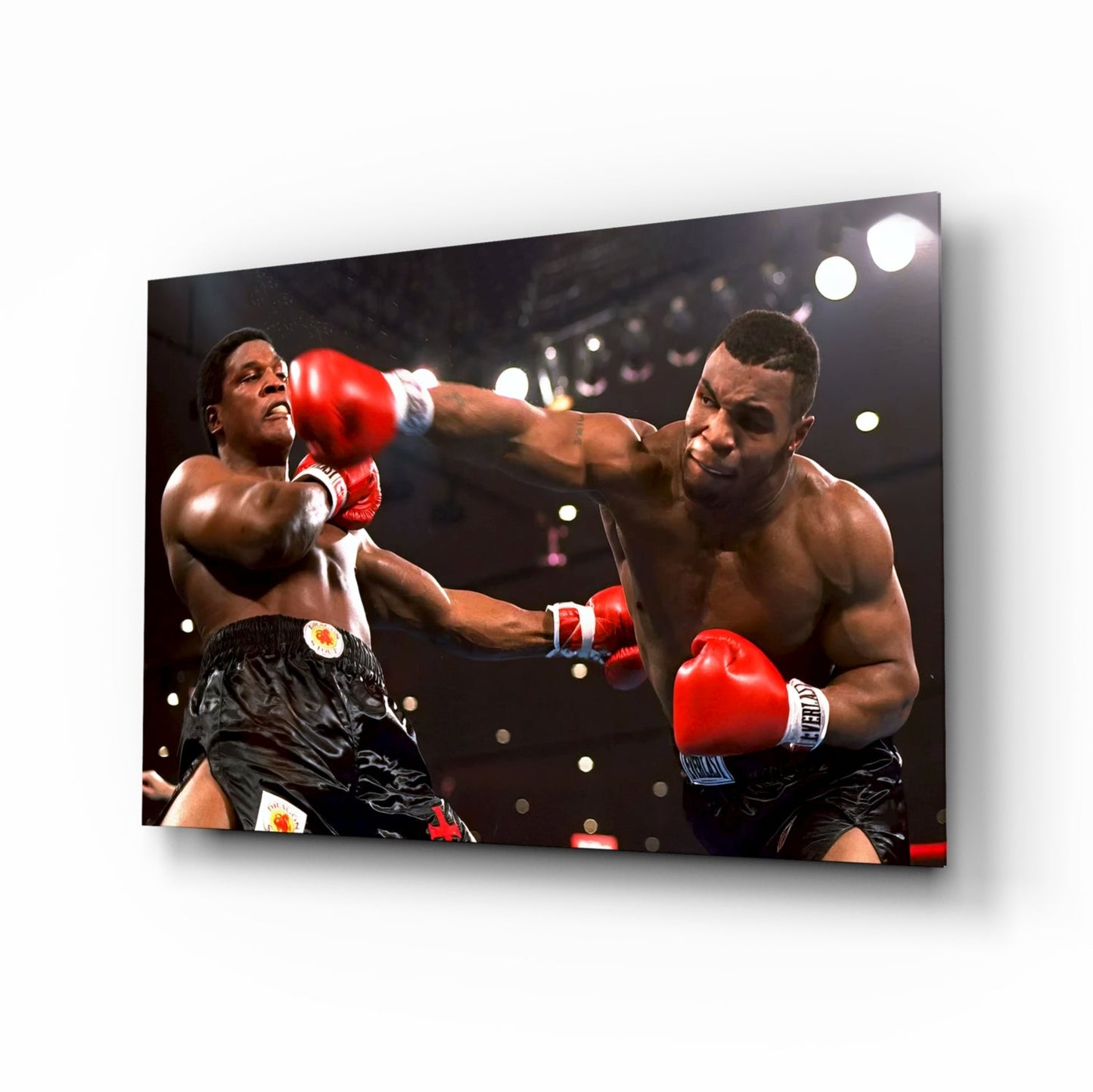 Fierce Boxer Portrait Glass Wall Art