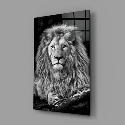 Regal Resting Lion Monochrome Glass Wall Art
