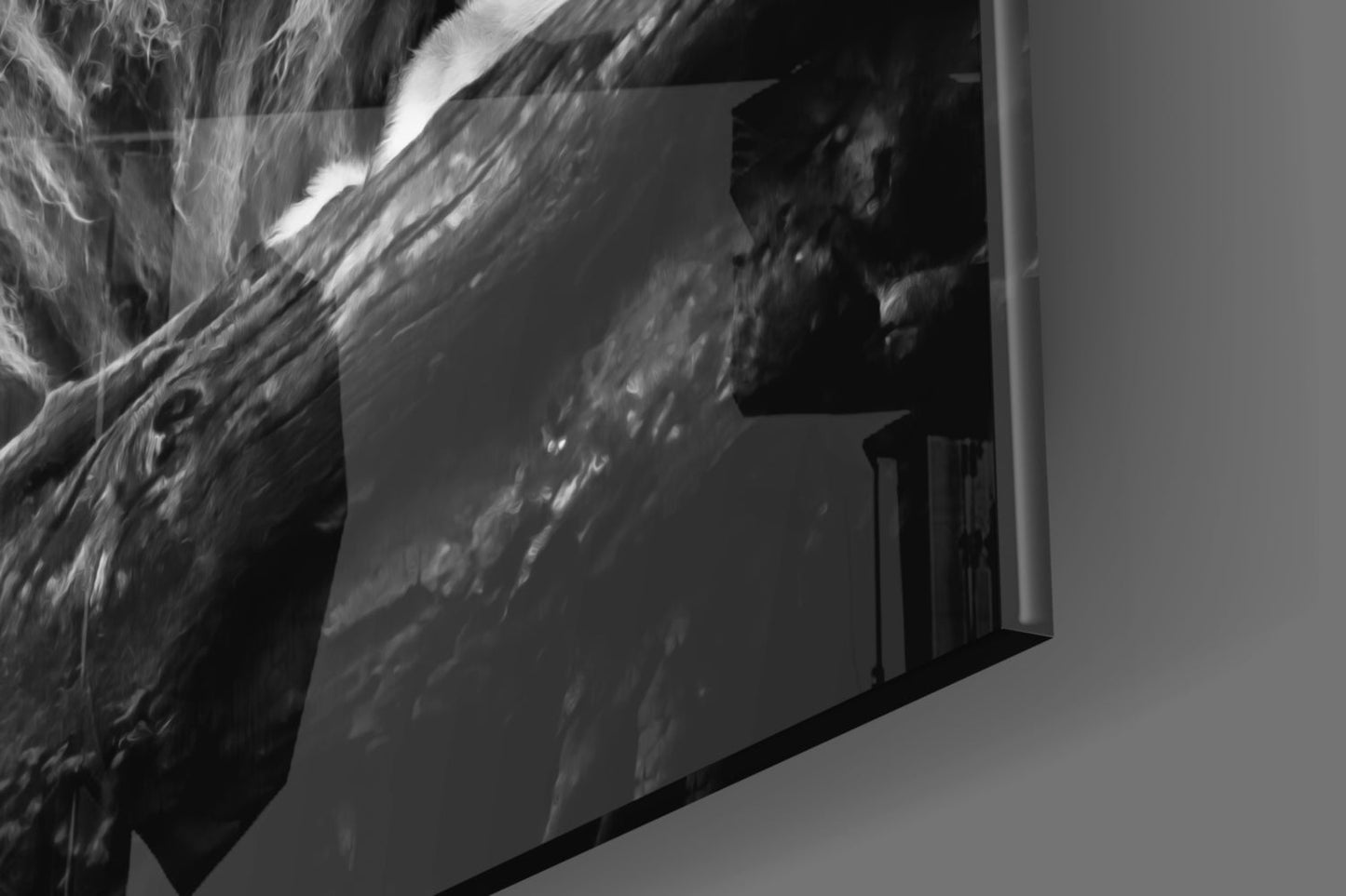 Regal Resting Lion Monochrome Glass Wall Art