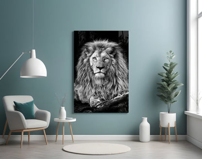 Regal Resting Lion Monochrome Glass Wall Art