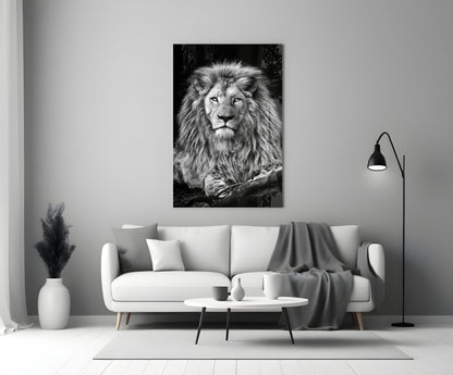 Regal Resting Lion Monochrome Glass Wall Art