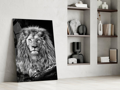 Regal Resting Lion Monochrome Glass Wall Art