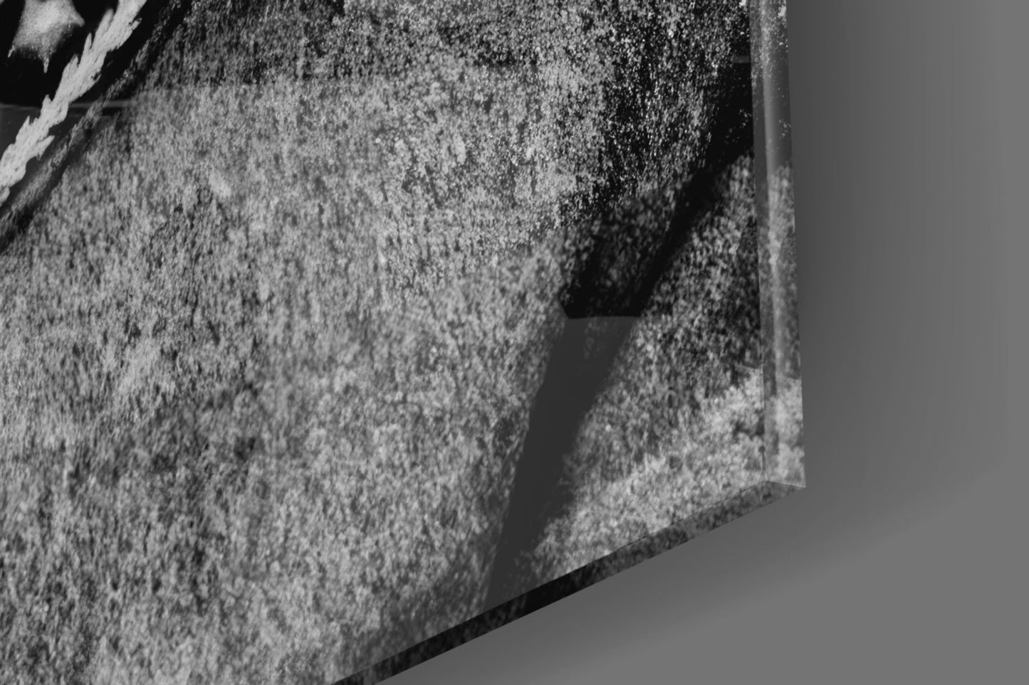 Ataturk Monochrome Uniform Bust Glass Wall Art