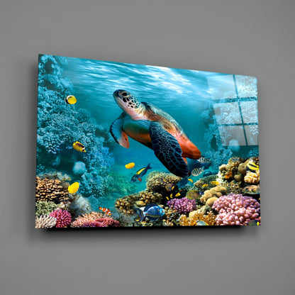 Sea turtle swimming among colorful coral reef and tropical fish in vibrant blue ocean waters, displayed as glass wall art.