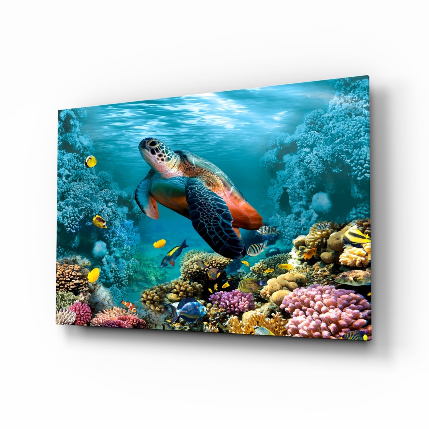 Glass wall art panel displaying an underwater coral reef scene with a sea turtle, tropical fish, and colorful corals in vibrant blues and oranges.