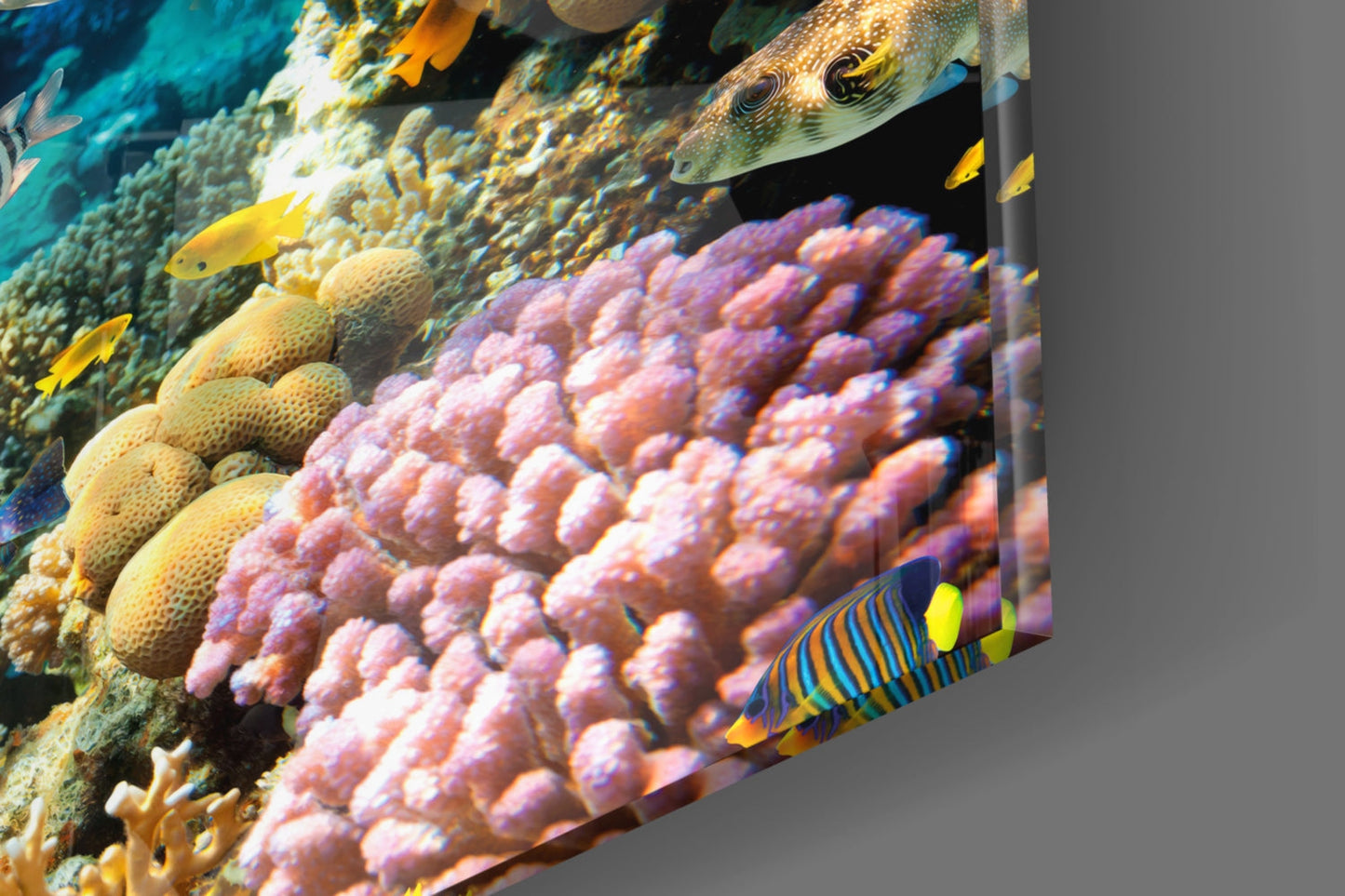 Colorful coral reef scene with purple coral, yellow fish, and a spotted fish printed on glass wall art panel.