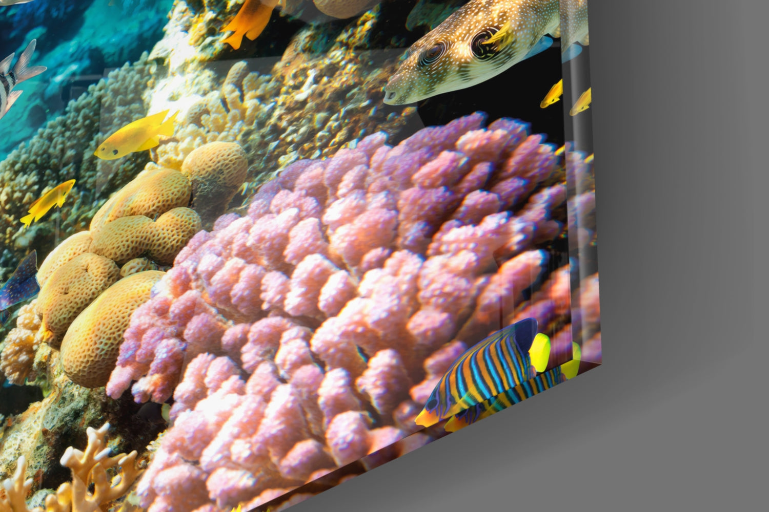 Colorful coral reef scene with purple coral, yellow fish, and a spotted fish printed on glass wall art panel.