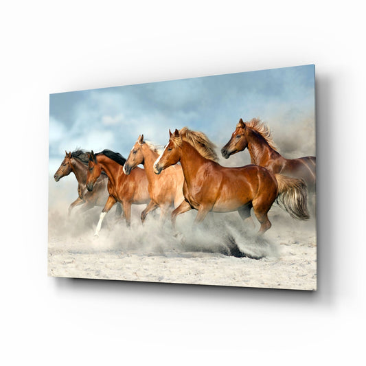 Glass wall art mounted at an angle displaying five chestnut horses galloping through sand with dust clouds and blue sky background.