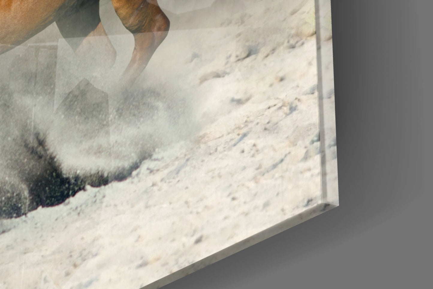 Chestnut Herd Running in Dust Glass Wall Art