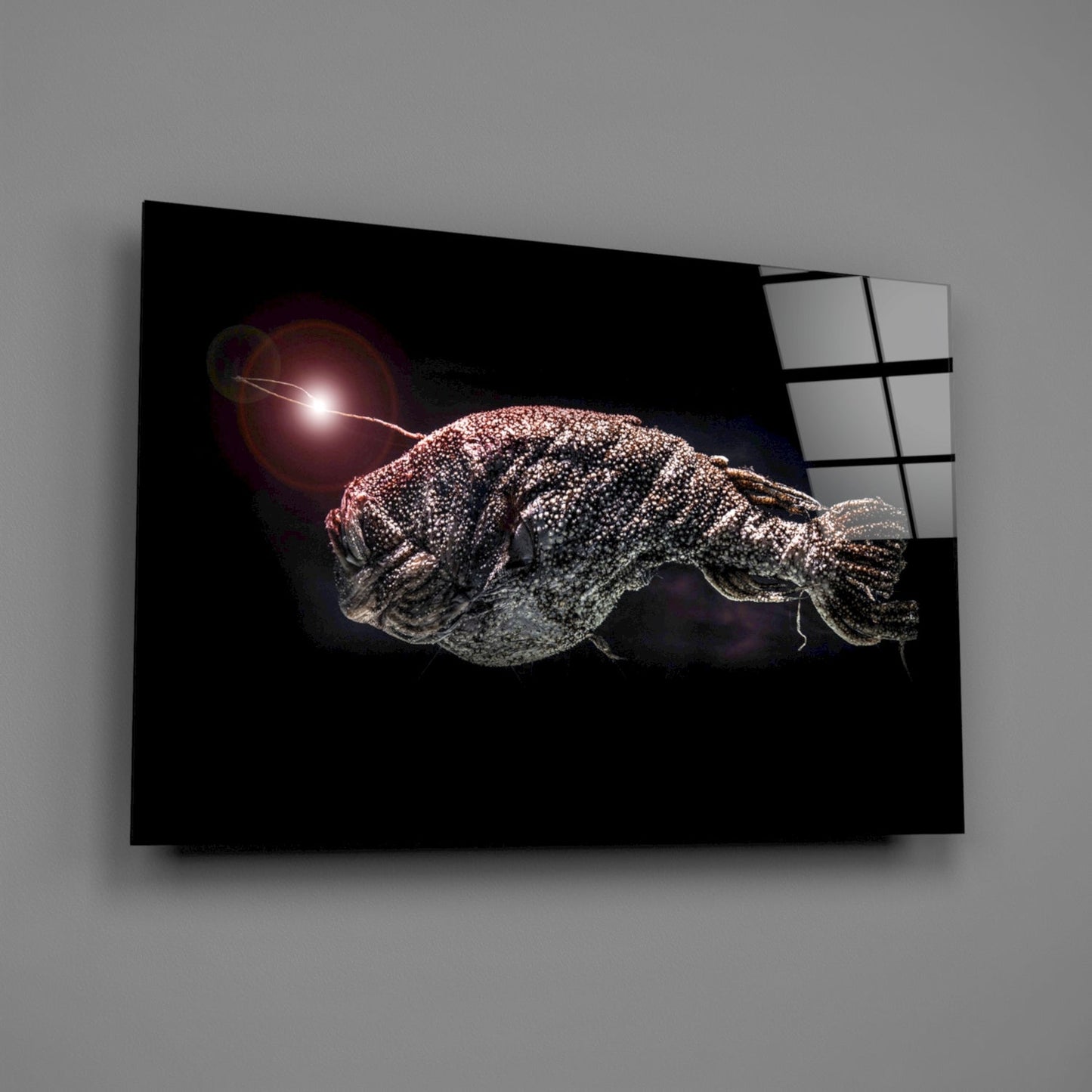 Angled view of glass wall art panel displaying a textured deep-sea fish with bioluminescent light against black background.