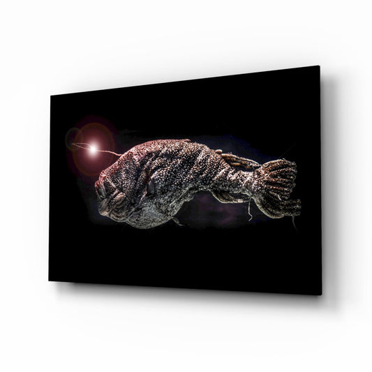 Glass wall art depicting a deep-sea fish with bioluminescent features against black background, displayed at an angle.