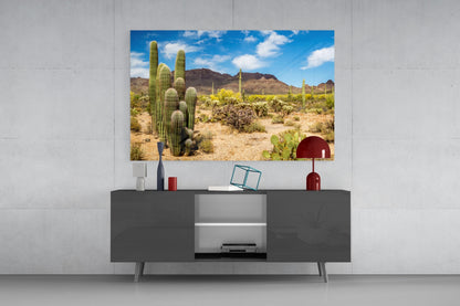 Desert landscape glass wall art depicting tall saguaro cacti displayed above dark modern TV console with decorative accessories.