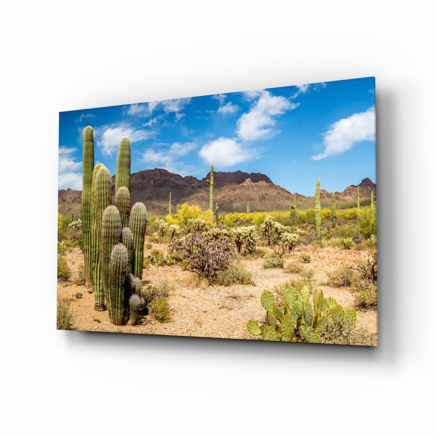Desert landscape with tall saguaro cacti, shrubs, and mountains under blue sky displayed on angled glass panel.