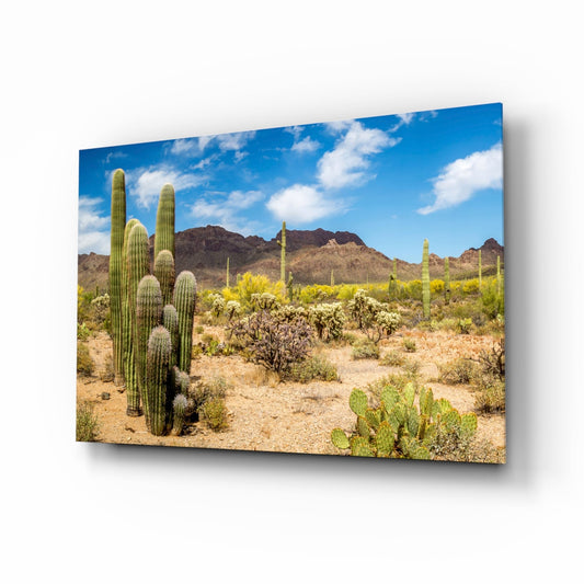 Desert landscape with tall saguaro cacti, shrubs, and mountains under blue sky displayed on angled glass panel.