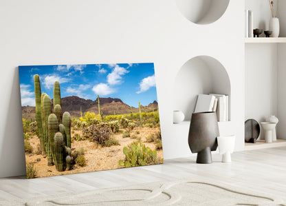 Desert landscape glass wall art leaning against white wall beside decorative objects and alcove shelving.