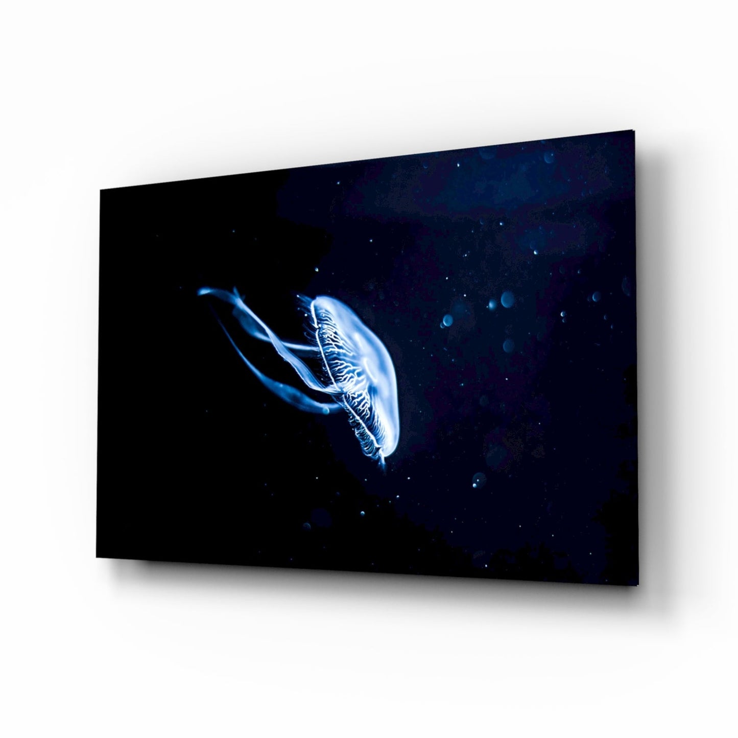 Solitary Blue Jellyfish Night Glass Wall Art