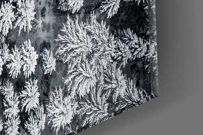 Aerial Snowy Forest Winding Road Glass Wall Art