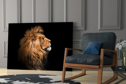 Golden Lion Side Profile Glass Wall Art