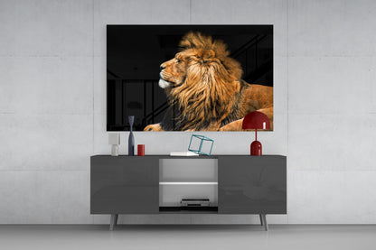Reclining Golden Lion Profile Glass Wall Art