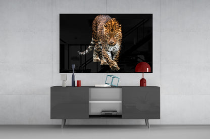 Prowling Leopard on Black Glass Wall Art