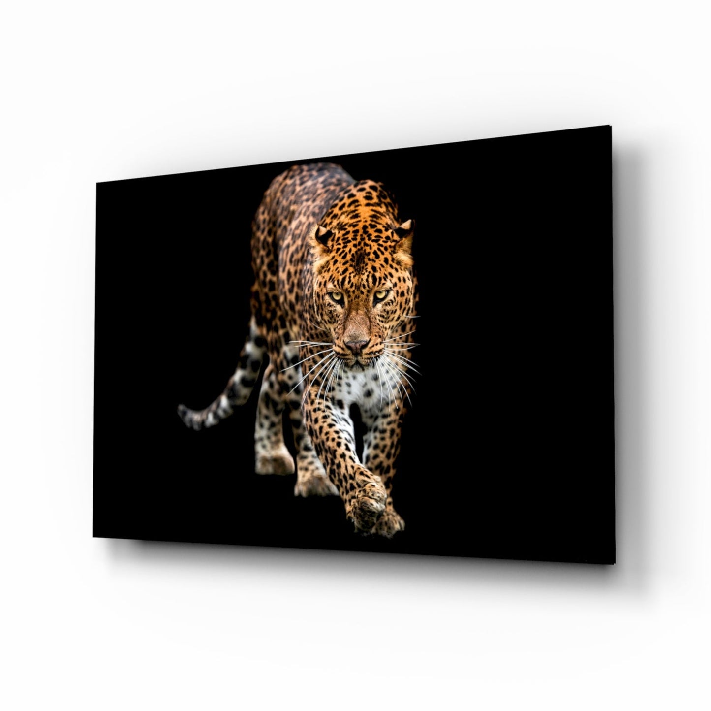 Prowling Leopard on Black Glass Wall Art