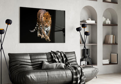 Prowling Leopard on Black Glass Wall Art