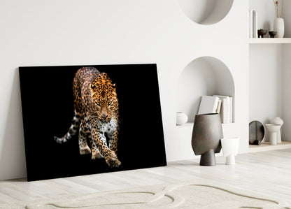 Prowling Leopard on Black Glass Wall Art