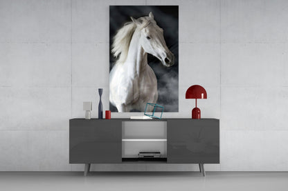 Flowing Mane White Stallion Glass Wall Art