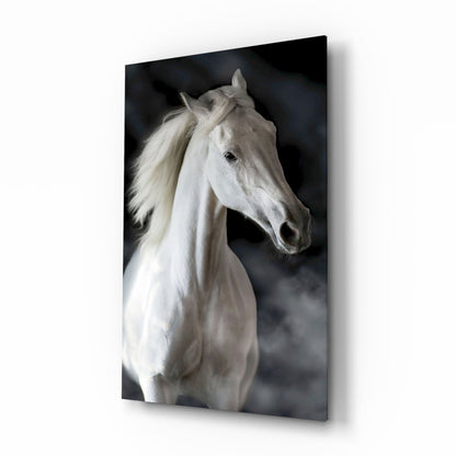 Flowing Mane White Stallion Glass Wall Art