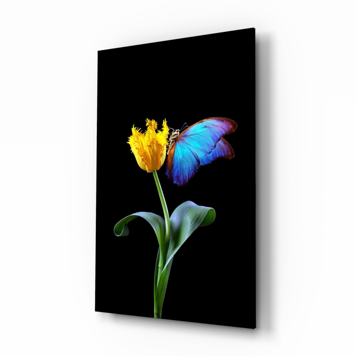 Blue Butterfly Yellow Tulip Glass Wall Art