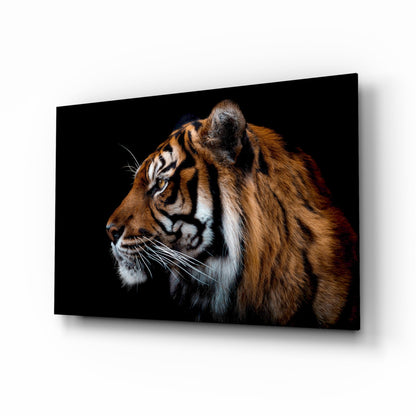 Tiger Side Profile Glass Wall Art