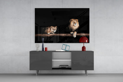 Lion and Lioness Resting on Log Glass Wall Art