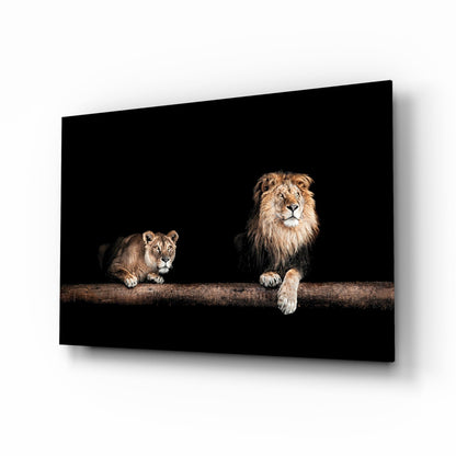 Lion and Lioness Resting on Log Glass Wall Art