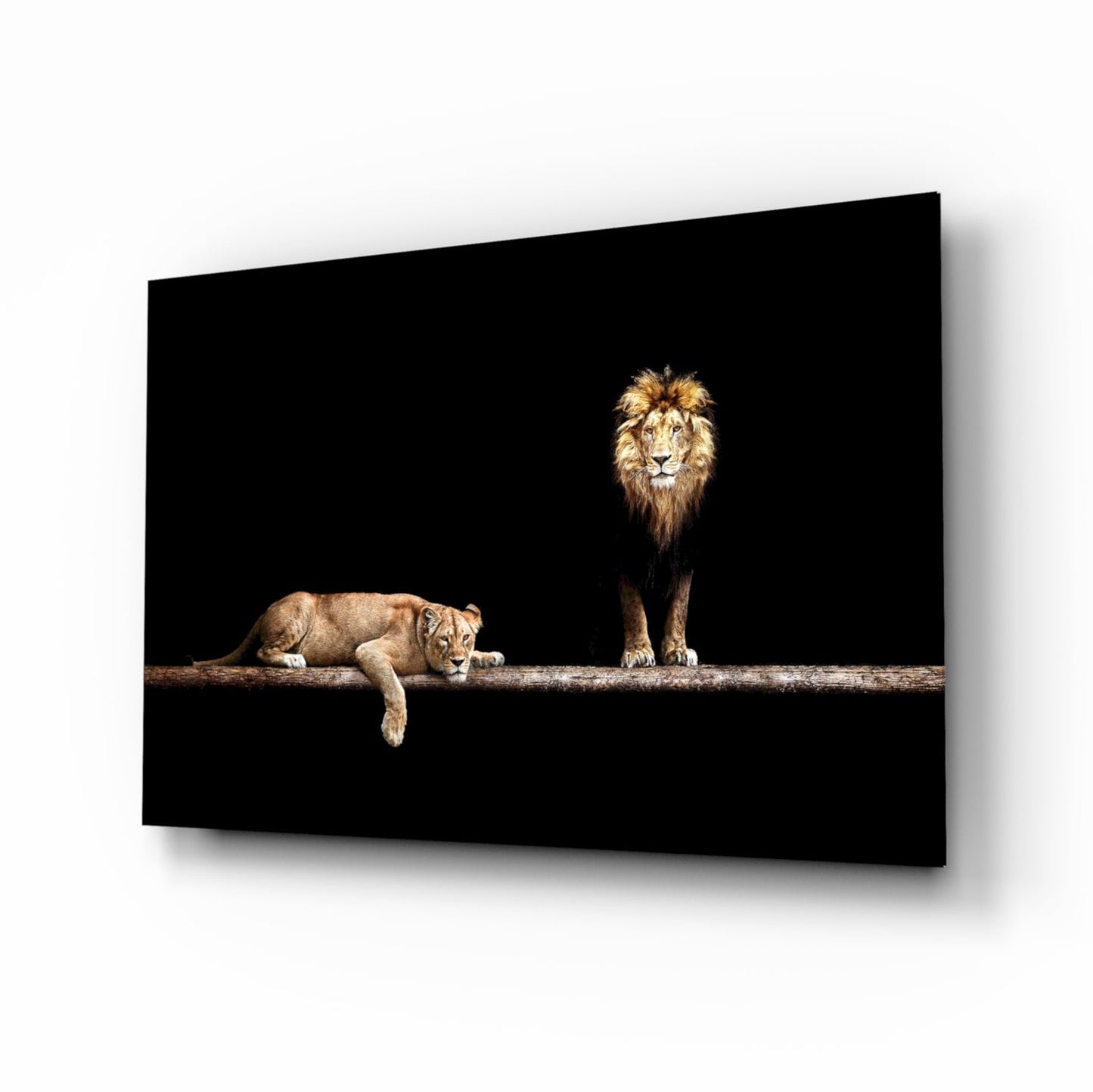 Standing Lion and Sleeping Lioness Glass Wall Art