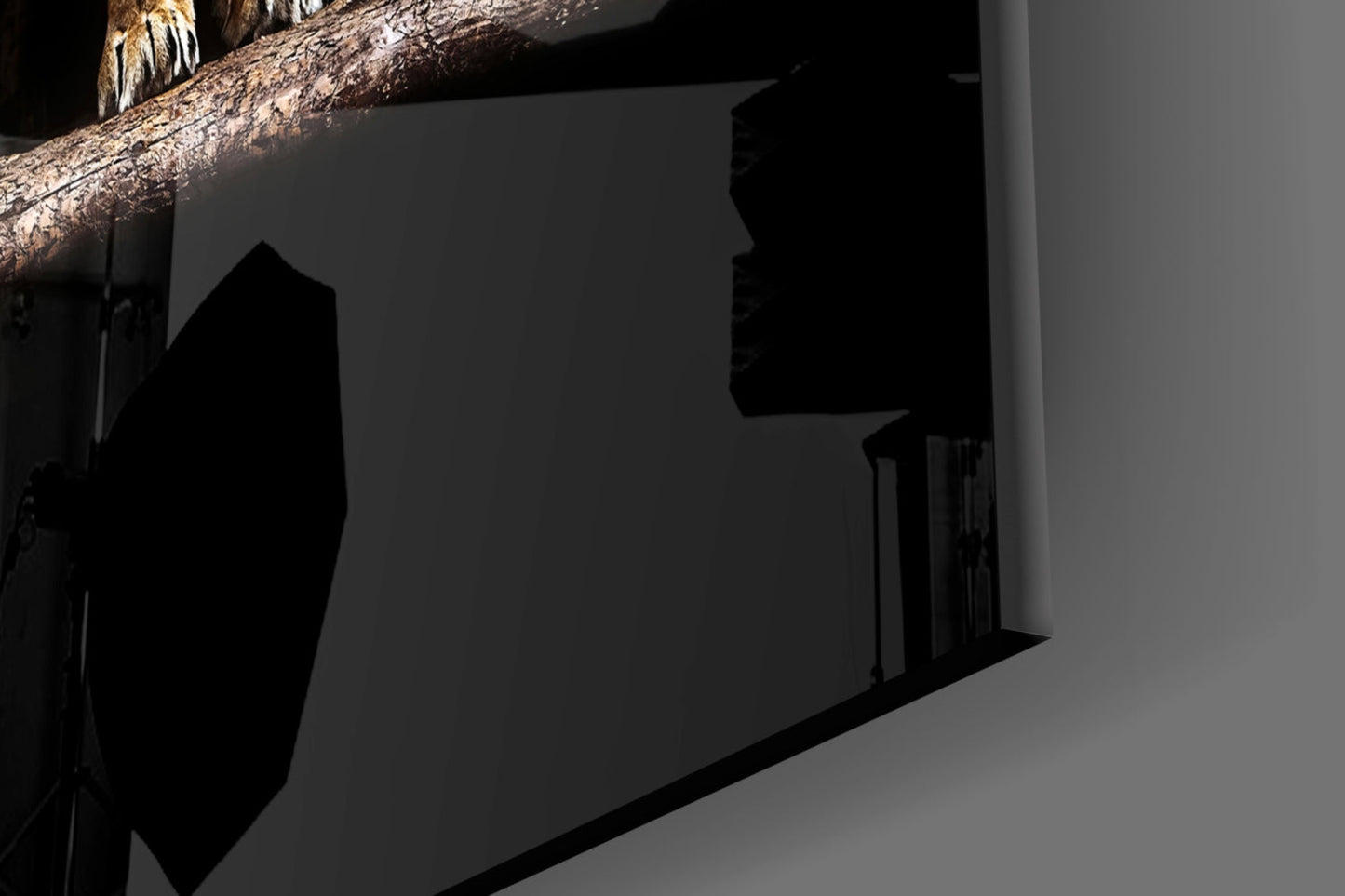 Standing Lion and Sleeping Lioness Glass Wall Art