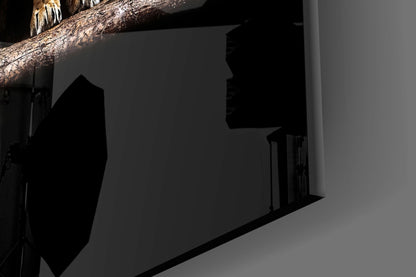 Standing Lion and Sleeping Lioness Glass Wall Art