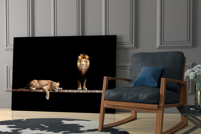 Standing Lion and Sleeping Lioness Glass Wall Art
