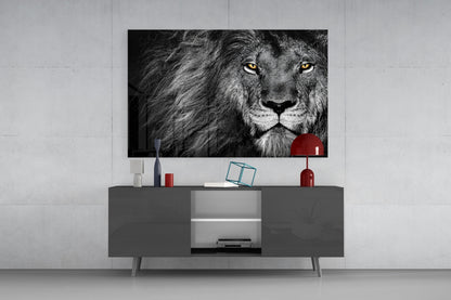 Amber Gaze Monochrome Lion Glass Wall Art