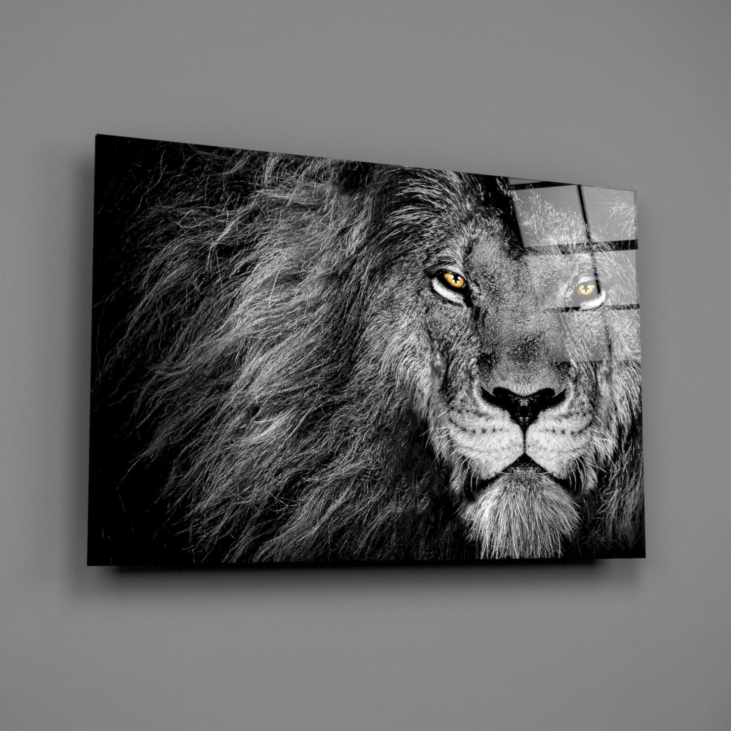 Amber Gaze Monochrome Lion Glass Wall Art