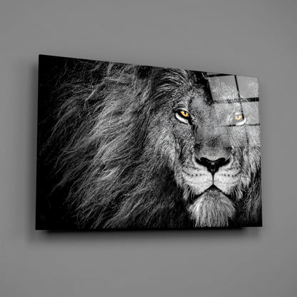 Amber Gaze Monochrome Lion Glass Wall Art