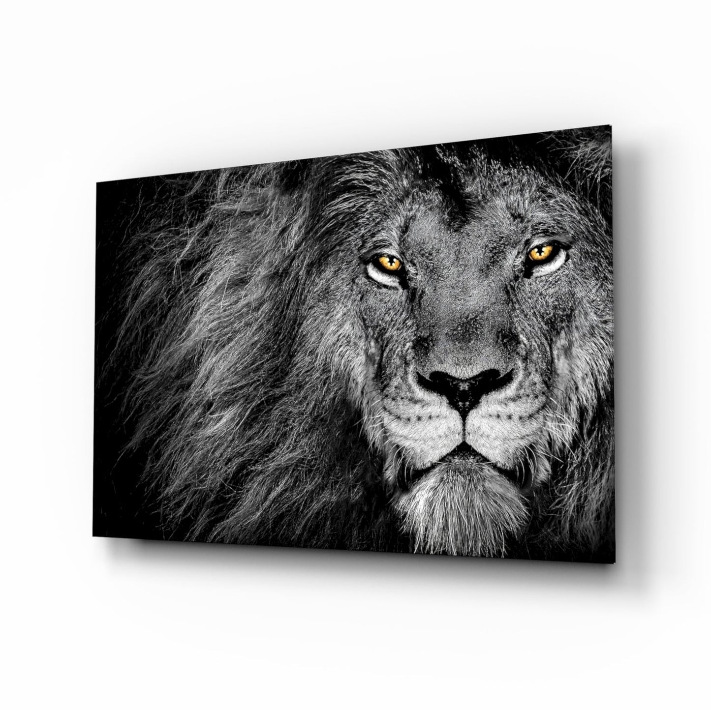 Amber Gaze Monochrome Lion Glass Wall Art
