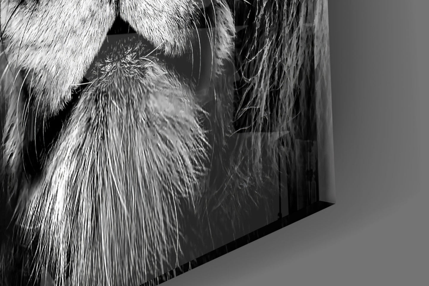 Amber Gaze Monochrome Lion Glass Wall Art