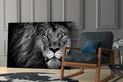 Amber Gaze Monochrome Lion Glass Wall Art