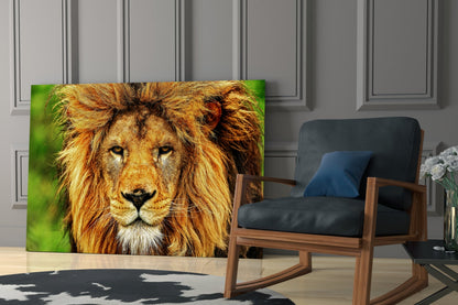 Golden Lion Green Meadow Glass Wall Art