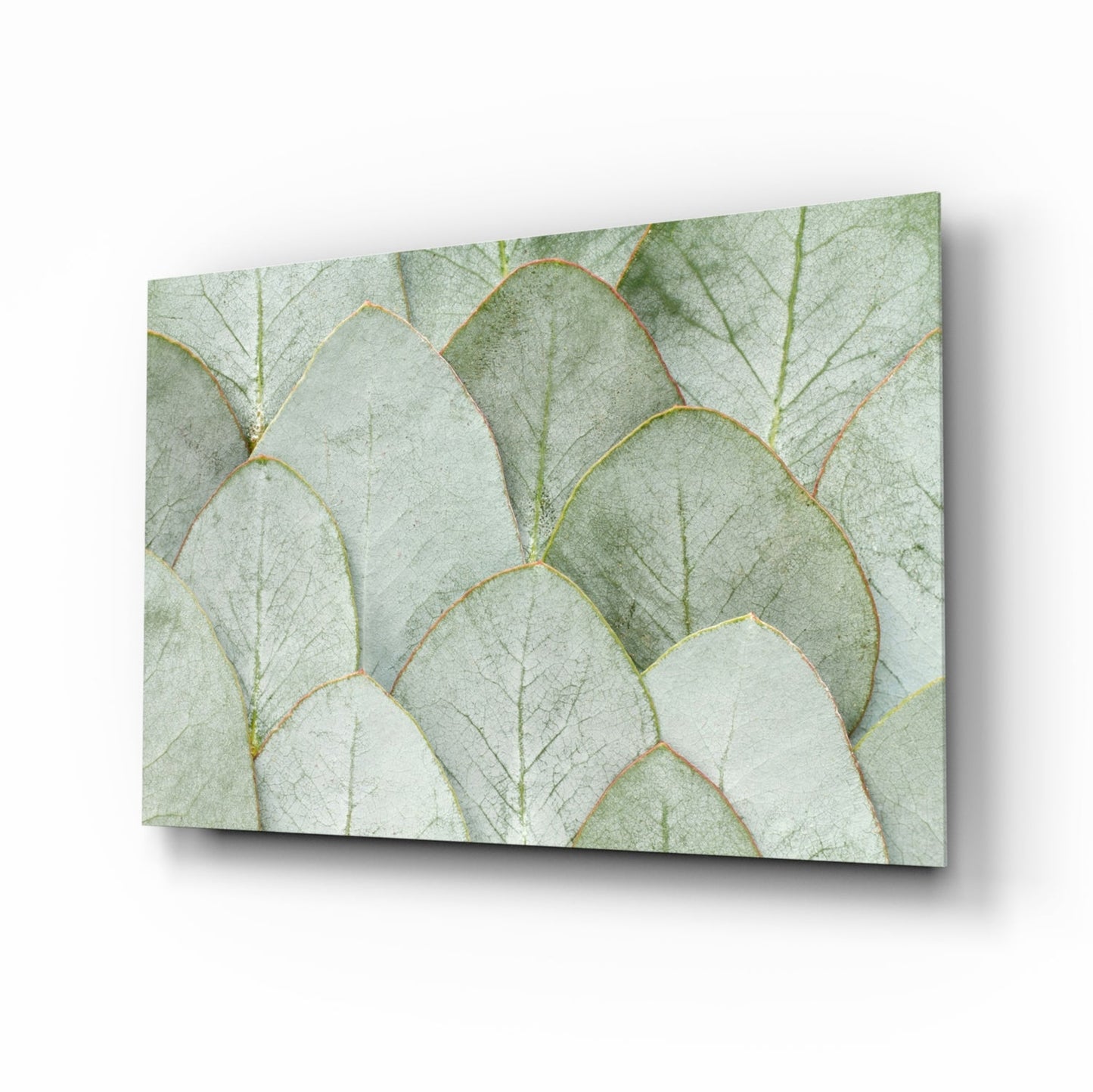 Sage Eucalyptus Leaf Layers Glass Wall Art