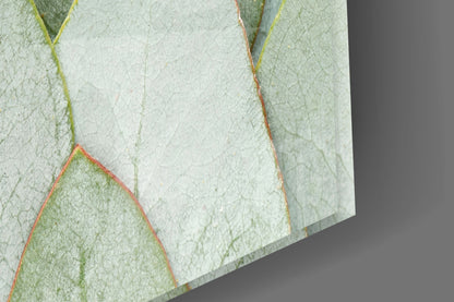 Sage Eucalyptus Leaf Layers Glass Wall Art