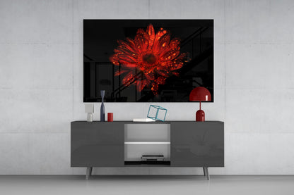 Red Dewy Gerbera Flower Glass Wall Art