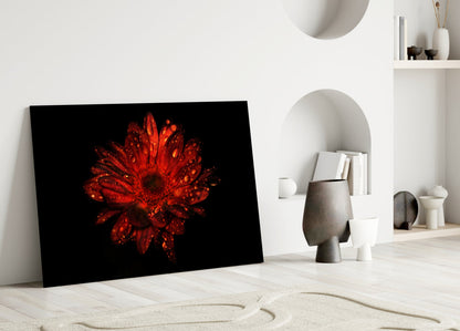 Red Dewy Gerbera Flower Glass Wall Art